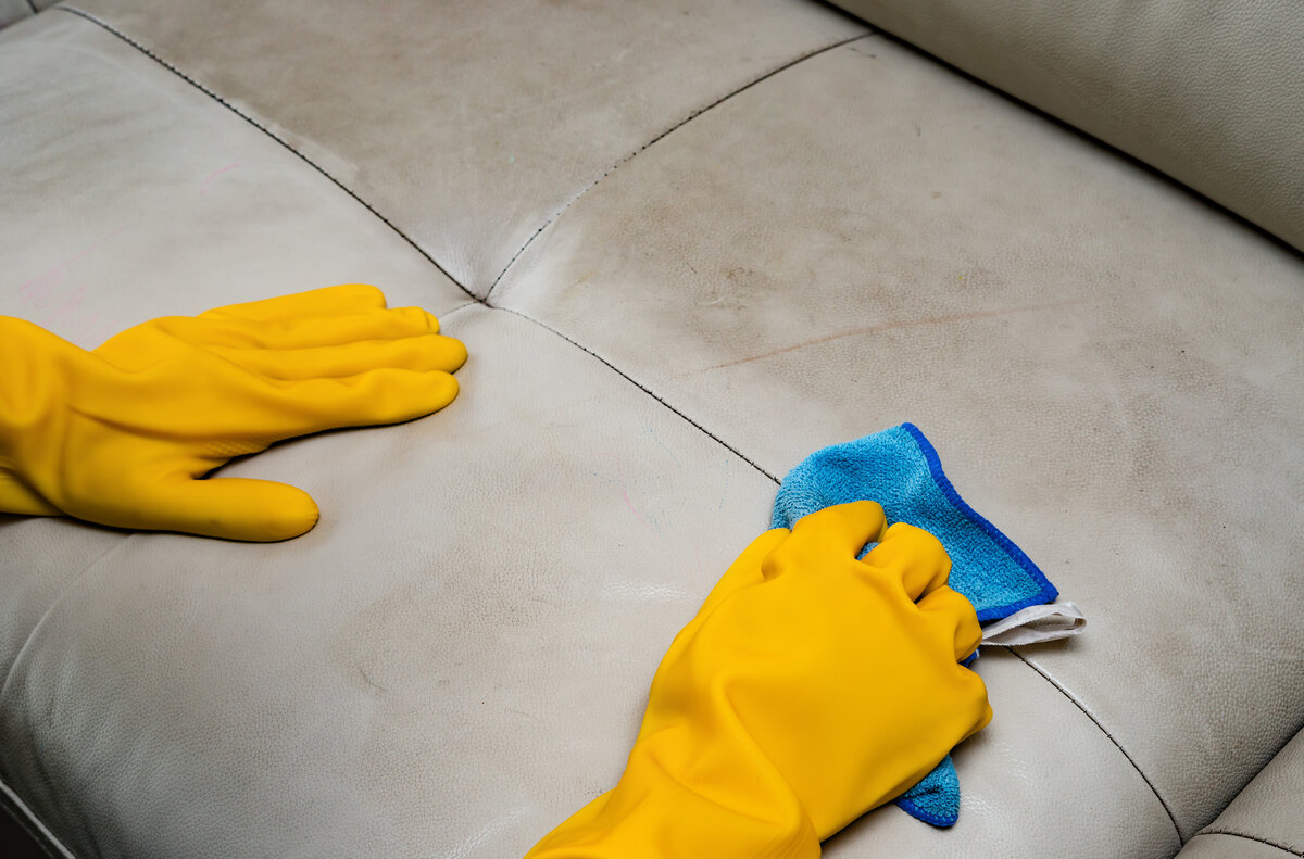 Cleans the Leather Sofa