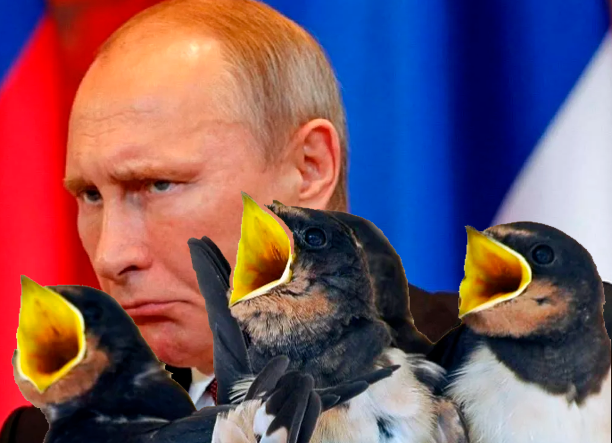 Так рассчитывали на шопинг податься птенцы В.В. Путина в Париж. Неужели не получится. Серьезные санкции. 