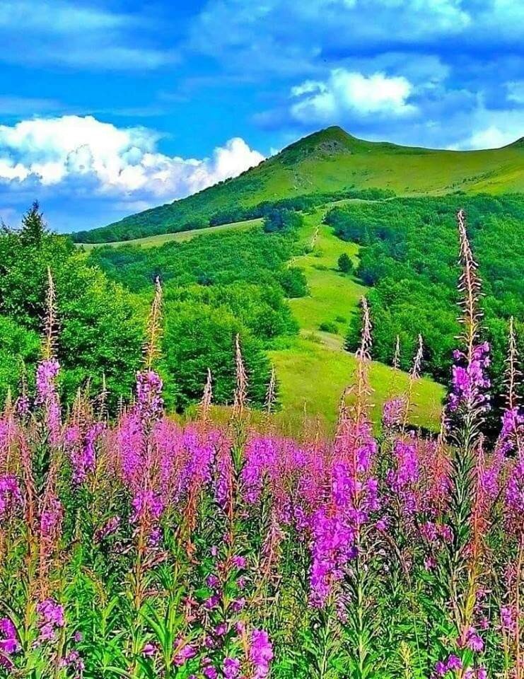 Чудной красоты