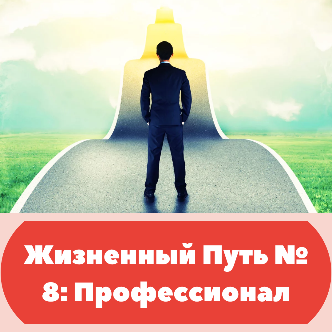 Жизненный путь № 8: Профессионал