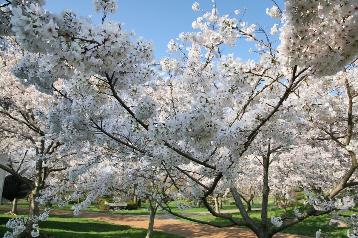 Источник фото: Яндекс картинки