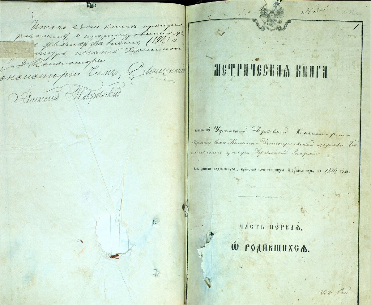 Метрическая книга прихода села Каменка Дмитриевской церкви Белебевского уезда Уфимской Епархии за 1880 год