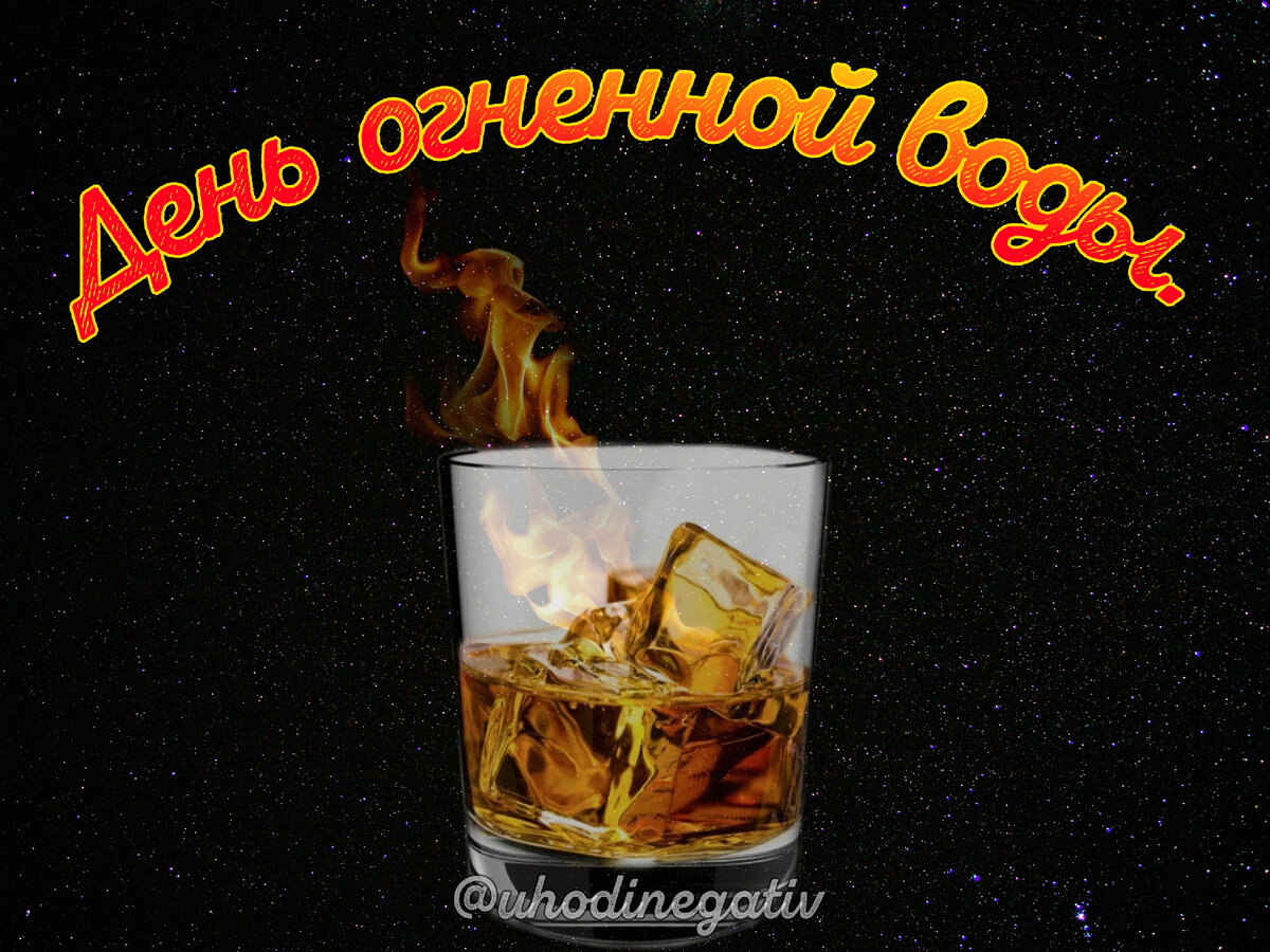 Фото: Анна Салтаганова.