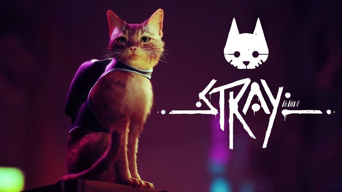 Обзор на игру Stray. Играем кошкой в заброшенном городе, где живут роботы и  какието существа. Что тут случилось? | Нахарде | Дзен