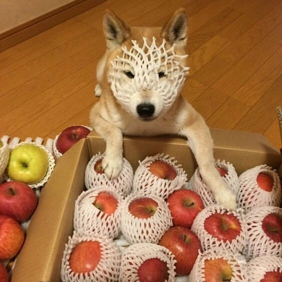 вызывайте мастера преображений! 