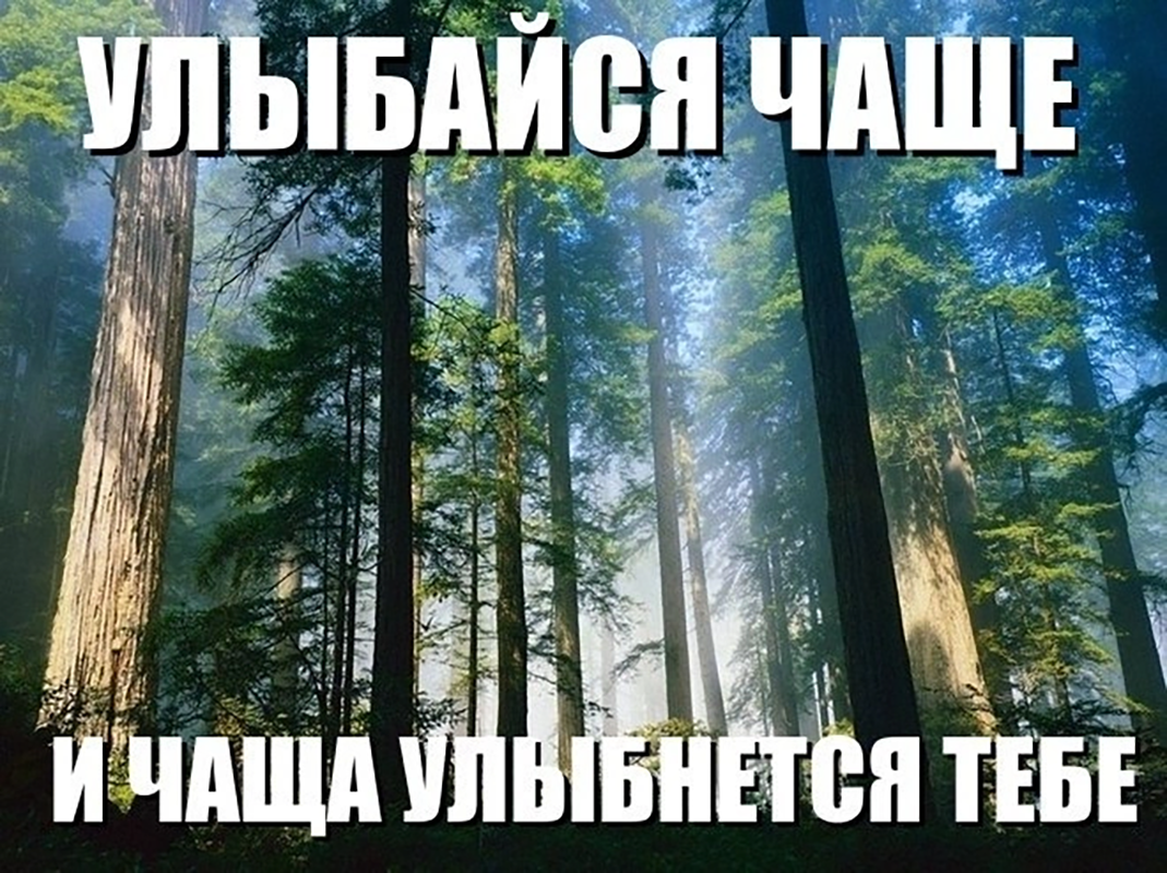 икание причина у детей. самая короткая молитва благодарю картинка. и все чаще хочется сказать словами. все чаще и чаще начинает. стадии депрессивной фазы.