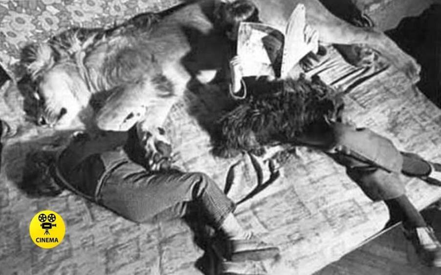 Трагедия на съёмках фильма «Невероятные приключения итальянцев в России ...