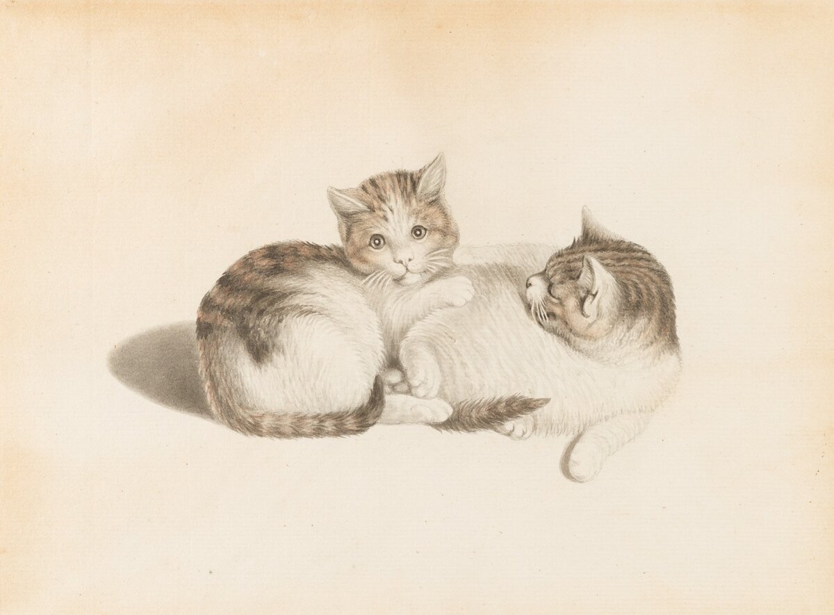 Gottfried Mind. Zwei spielende Katzen. Swiss National Library, Prints and Drawings Department