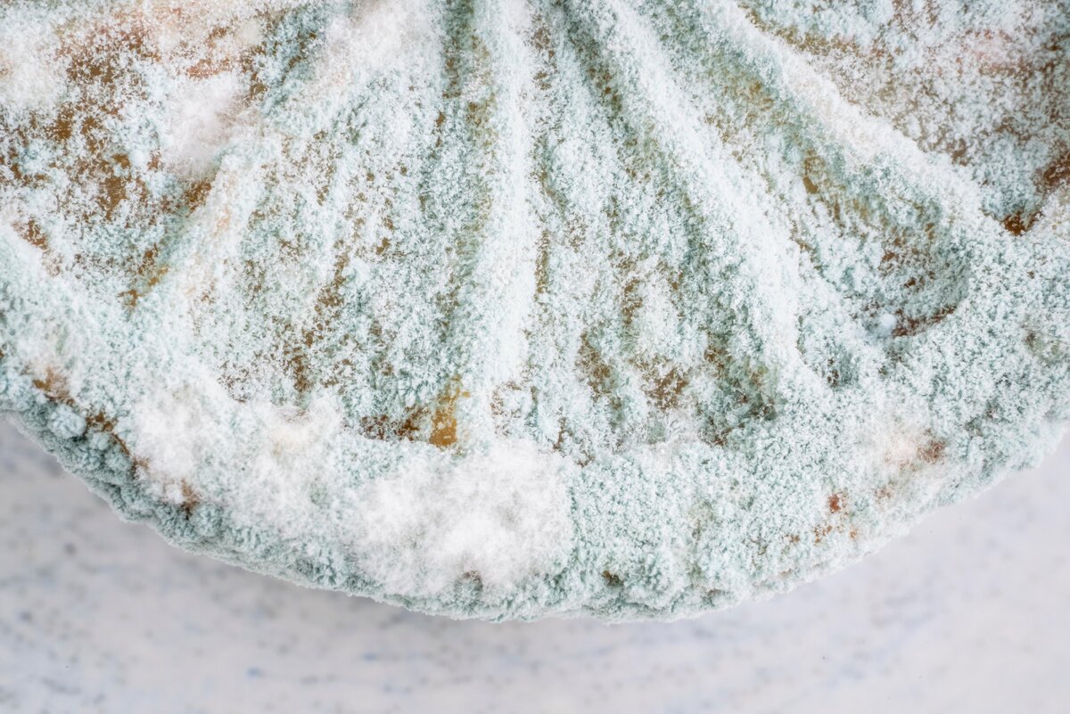    фото: Shutterstock/Fotodom.ru