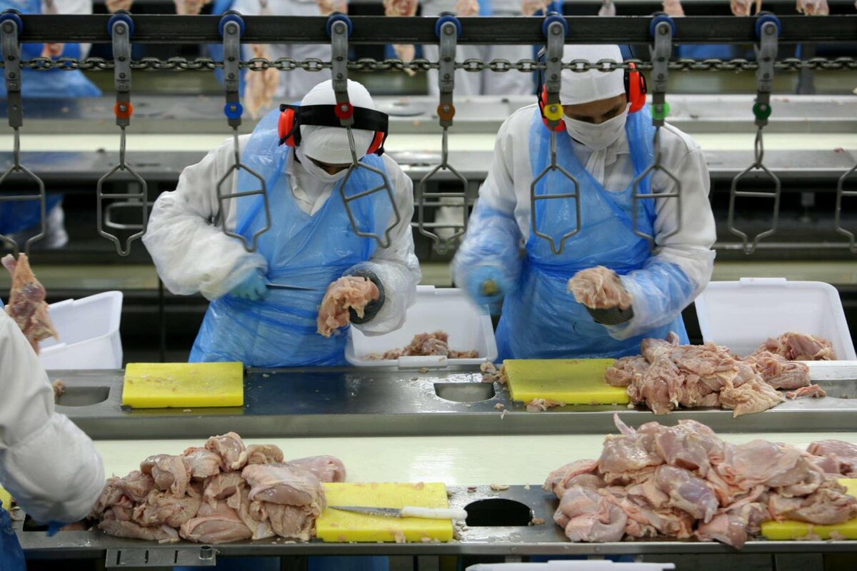 Технология продовольственных продуктов