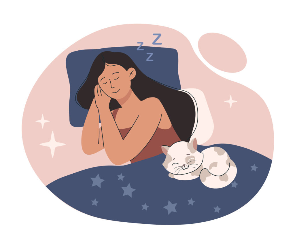    Girl sleeping with cat. Woman lies on bed with her pet, character in bedroom rests at night and recuperates. Comfort and coziness in apartment or room, dreams. Cartoon flat vector illustration Анастасия Никифорова