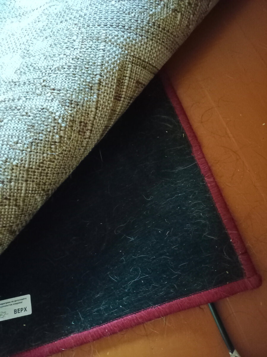 Мобильный теплый пол под ковром. Шерсть под ковром, конечно, тоже есть...