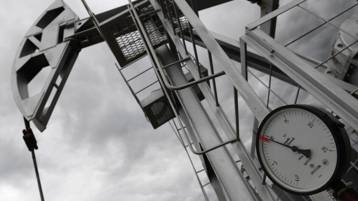    Нефтяной станок-качалка© РИА Новости / Максим Богодвид