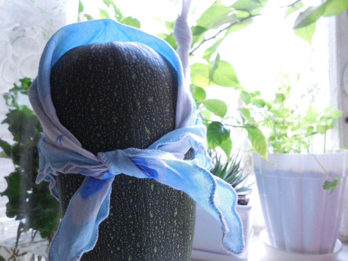 Иногда можно и похулиганить! Как вам кабачок в роли "одна умная дама сказала"?