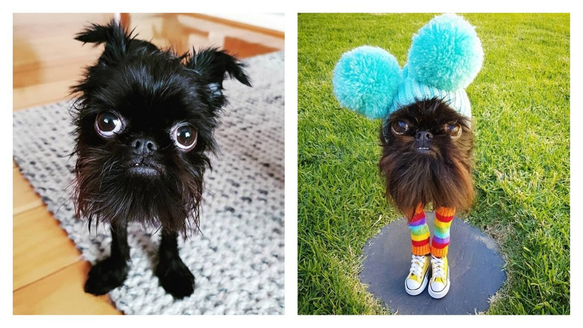 Фото из Pinterest