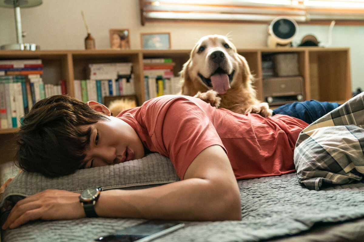 Кадр из фильма "Мой пёс Руни"