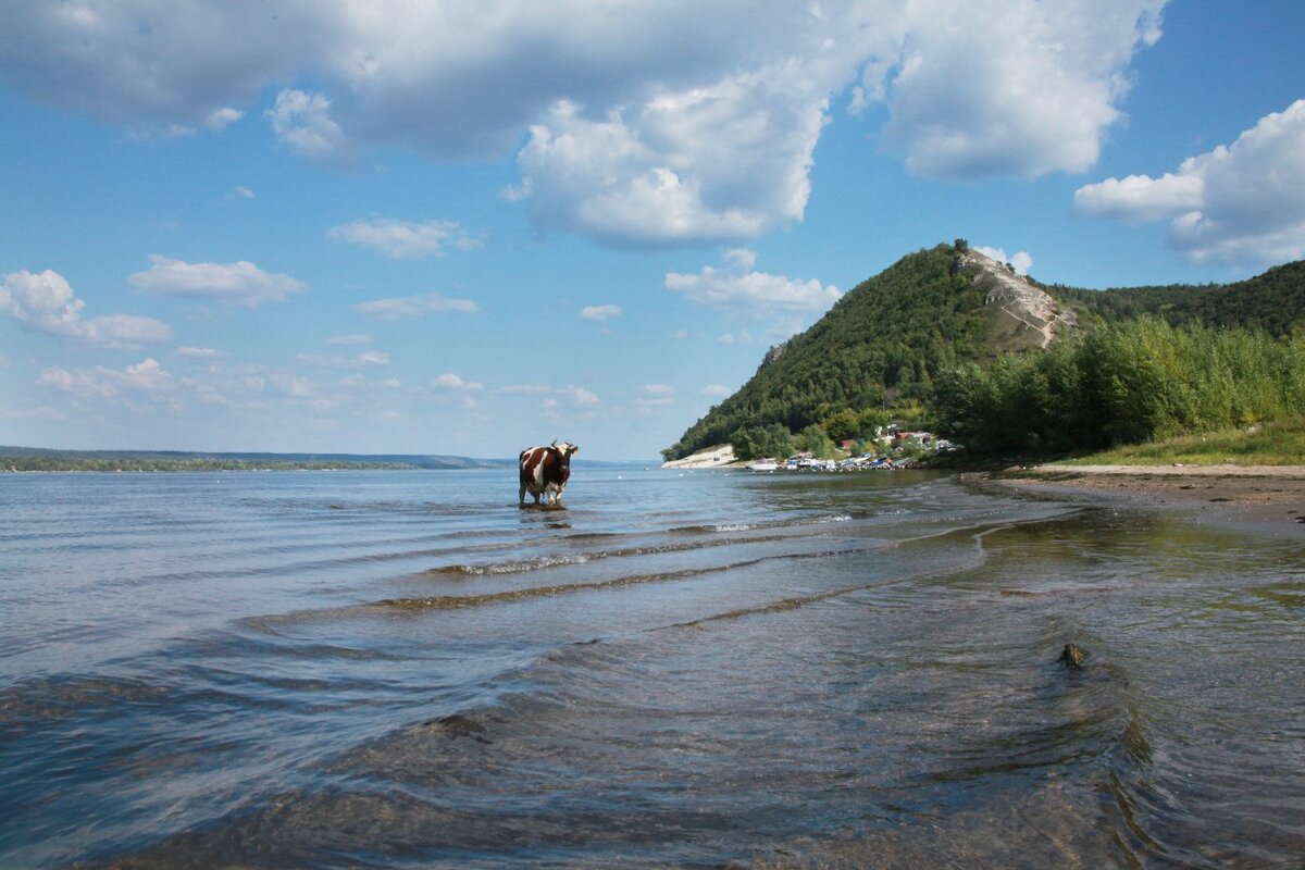 моркваши жигулевск пляж