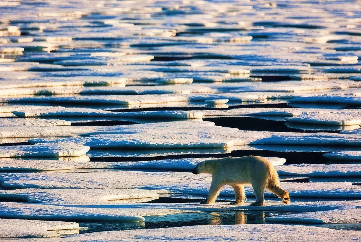 © Australian Geographic