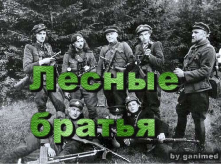 Лесные братья в прибалтике
