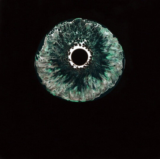 Картина, чем то напоминающее зрачок и медузу