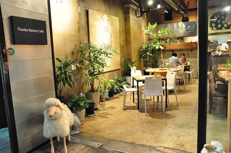 Cafe seoul. Thanks nature Cafe, Сеул Южная Корея. Кафе в Южной Корее Сеул. Южная Корея Эстетика Сеул кафе. Корейские кафе в Корее.