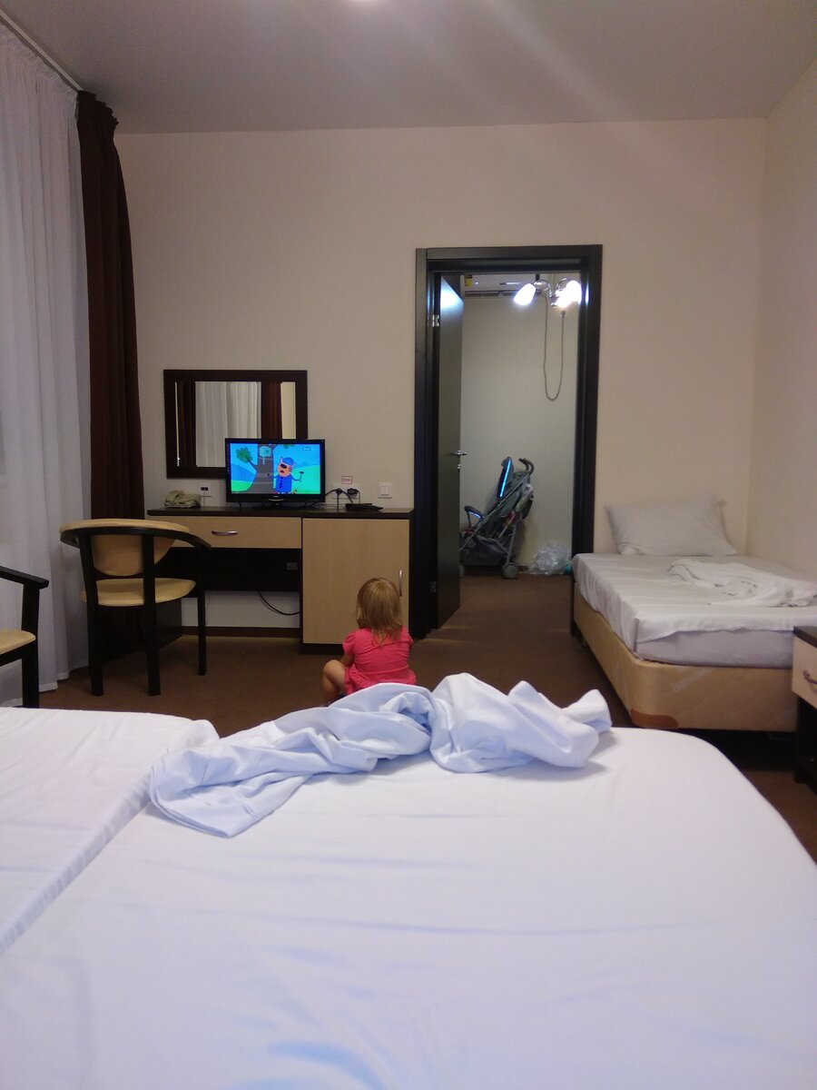 Трёхместный номер русский дом 3*