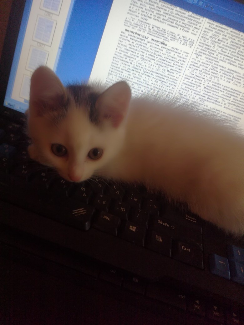 Тепло и уют