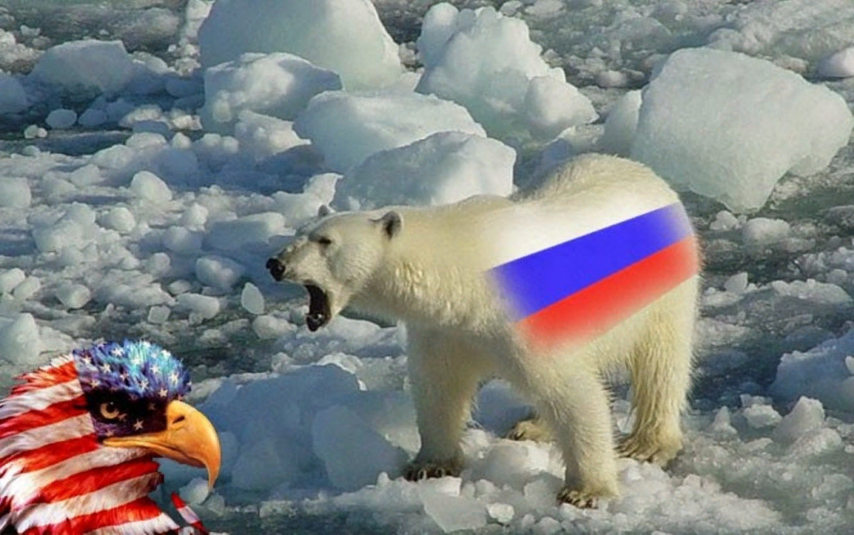 Медведь с русским флагом. Российский флаг с медведем. Медведь с флагом