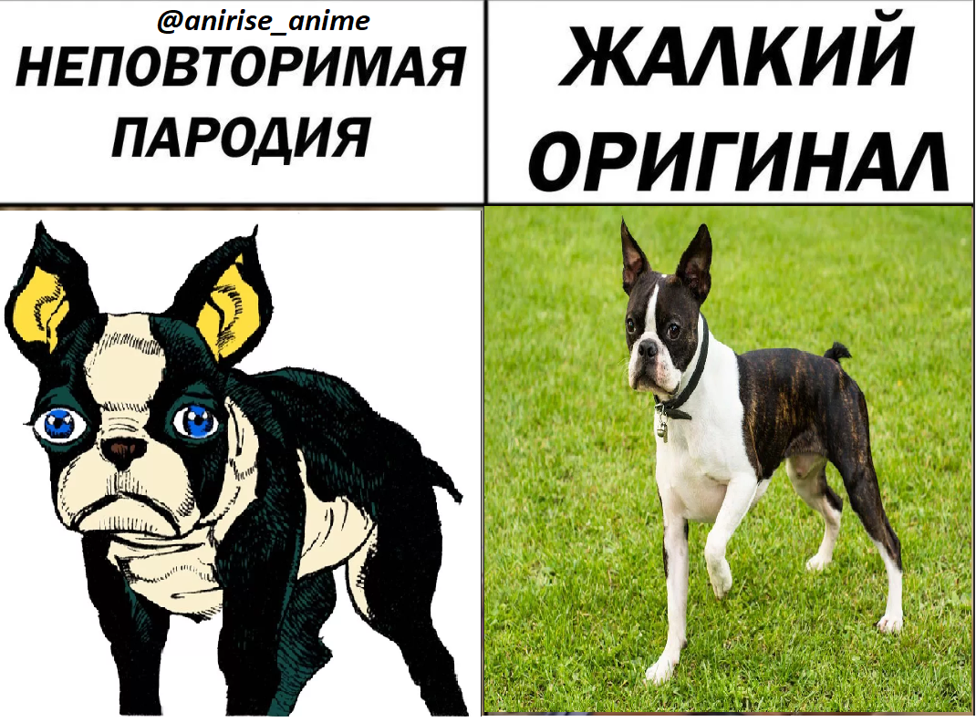 Вы там пишите мне, что мангаки не употребляют и вообще враки все. Вынужден вас огорчить.