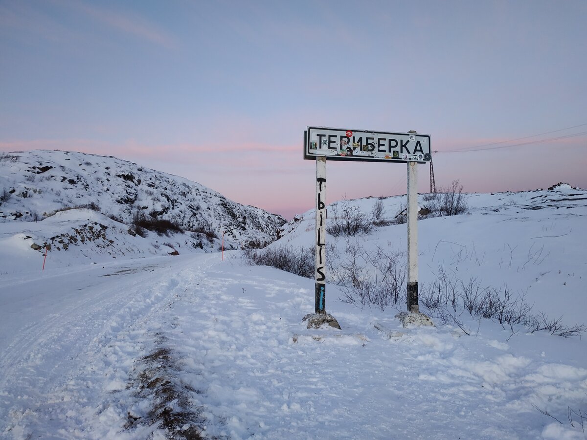 Териберка хаски