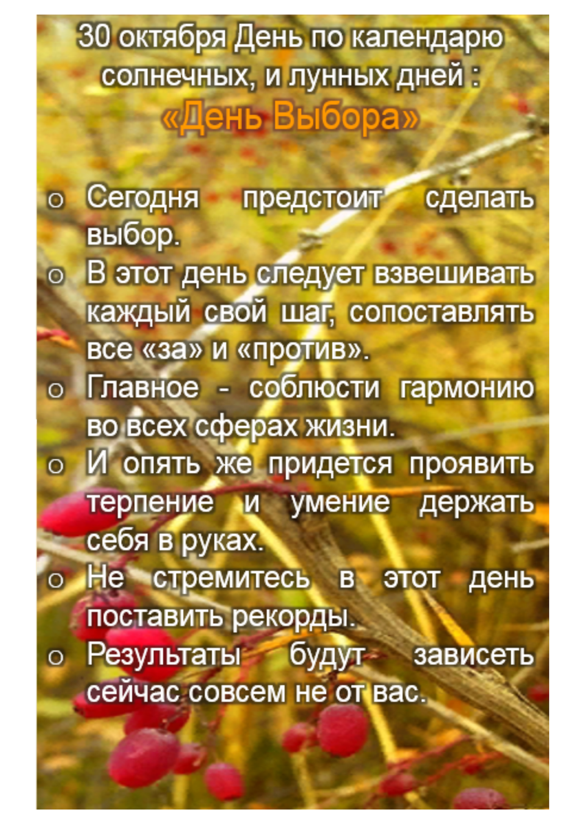 Народные приметы на октябрь 2024г