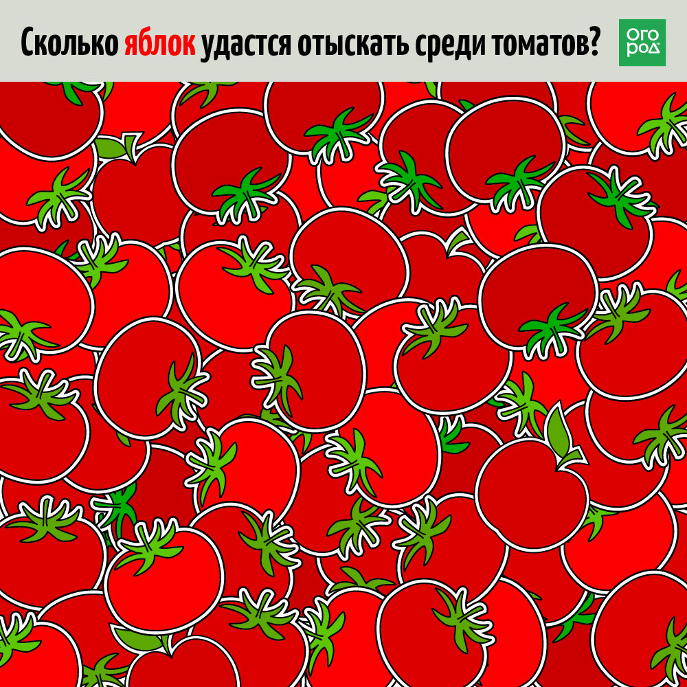 Сколько яблок на картинке