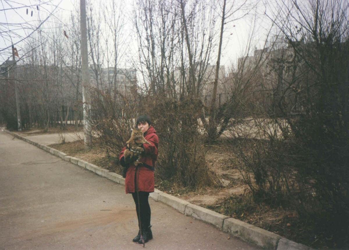 Хозяйка с Феликсом