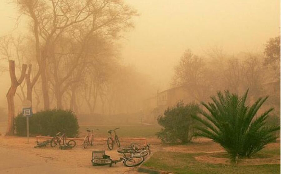  https://cyprusbutterfly.com.cy/news/400-people-a-year-die-prematurely-from-the-effects-of-air-pollution-in-cyprus 