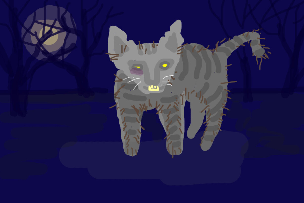 Подписывайтесь на наш канал!