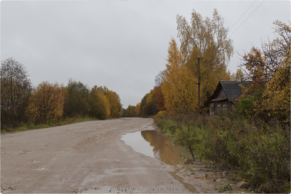 Барыгино - о природе, яблоках и птицах... | Николай Патрин | про еду и  прочее... | Дзен