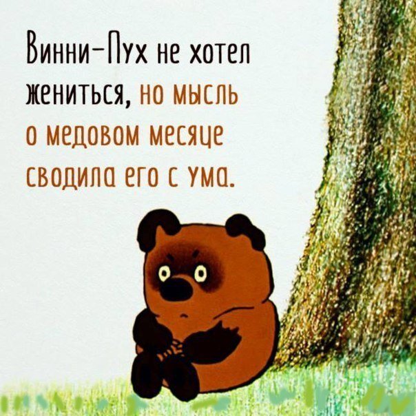   Прибегает Пятачок к Иа и говорит: — Там Сова от тебя детей родила… — Ах ты, свинья, дырявый шарик подсунул!    Пошли Винни-Пух и Пятачок за мёдом с двумя воздушными шариками.