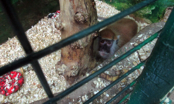 Фото А. Бондаря, руководителя «Школы юнкоров».