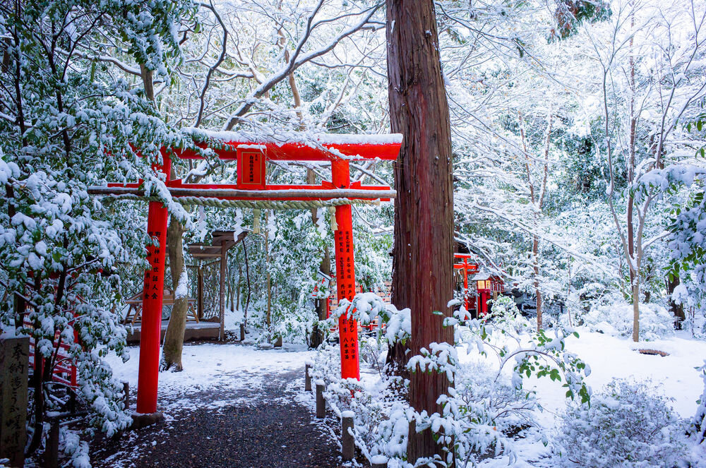 Зимой Япония превращается в край звенящего голубого воздуха и белого снега