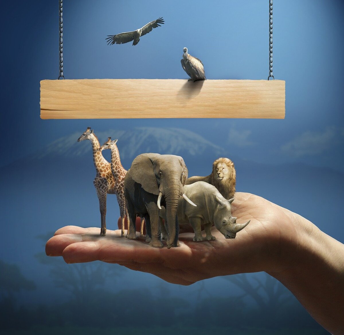 https://pixabay.com/ru/illustrations/%D0%B0%D1%84%D1%80%D0%B8%D0%BA%D0%B0-%D0%B6%D0%B8%D1%80%D0%B0%D1%84-%D0%BB%D0%B5%D0%B2-%D0%BD%D0%BE%D1%81%D0%BE%D1%80%D0%BE%D0%B3-%D0%B6%D0%B8%D0%B2%D0%BE%D1%82%D0%BD%D1%8B%D0%B5-1603382/