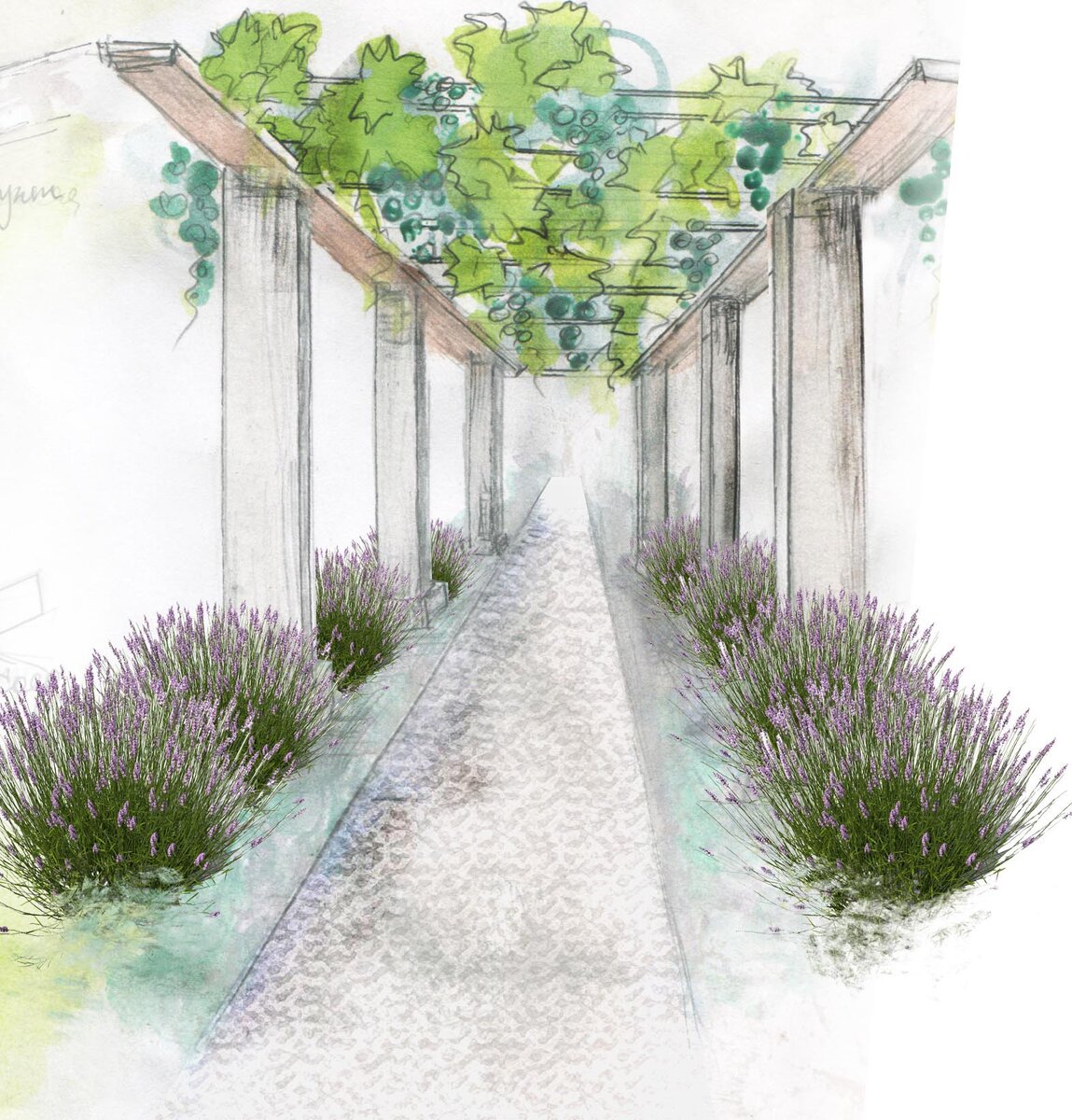 садовая пергола