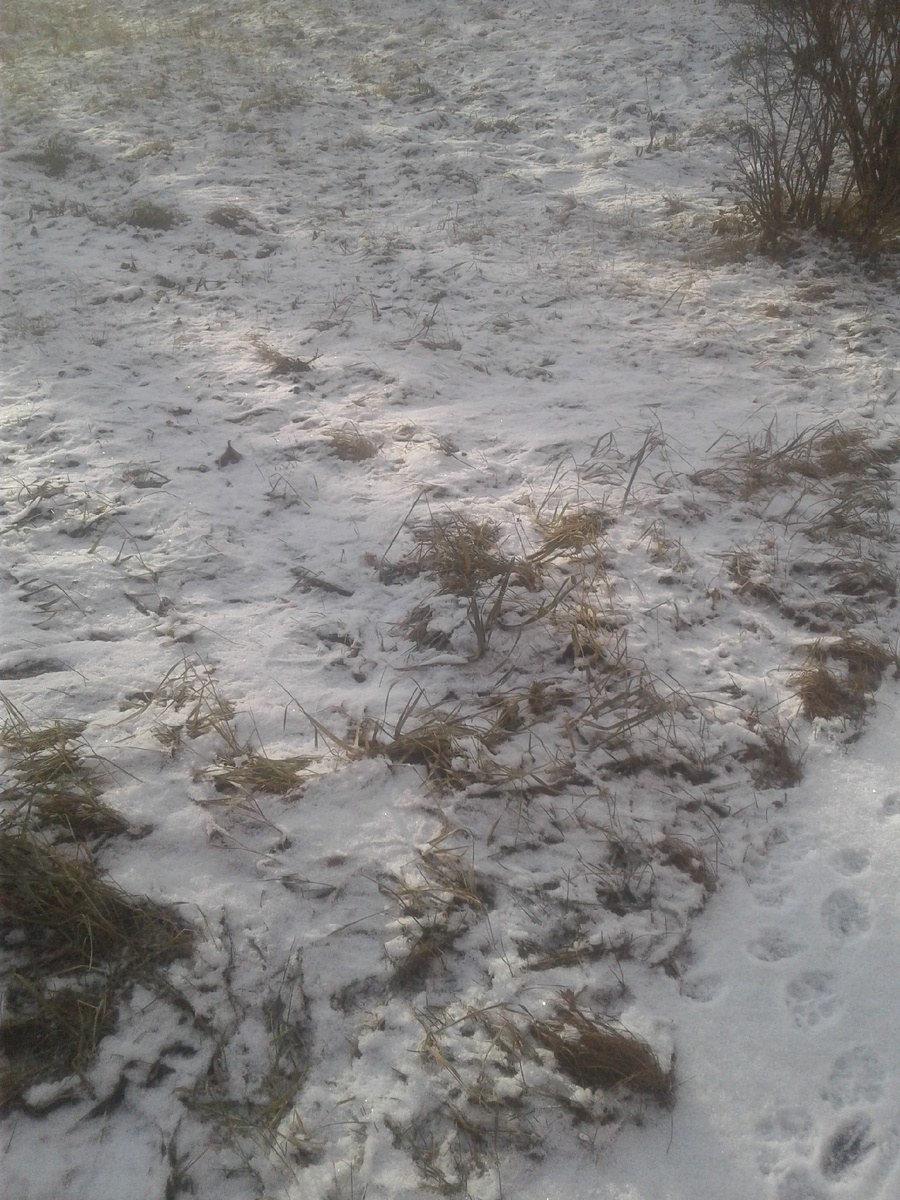 Личное фото