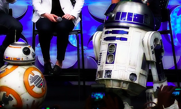 Фото: открытые источники