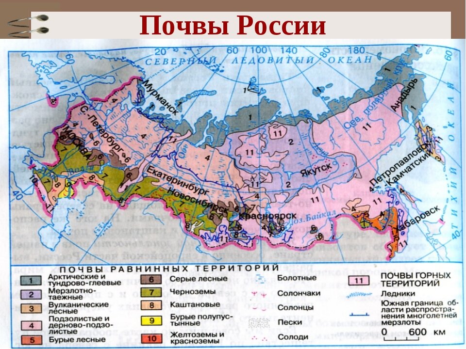 Примеры плодородных почв россии Как подобрать автоковрик-хамелеон? Екатерина Красных Дзен