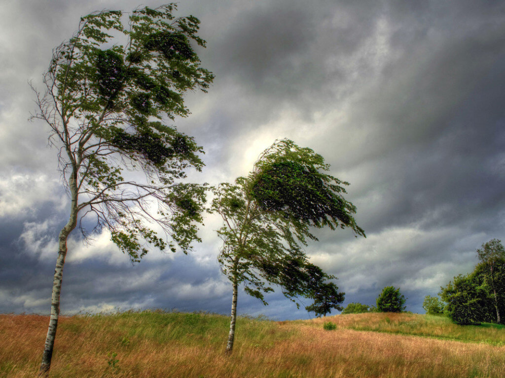 Порывы ветра