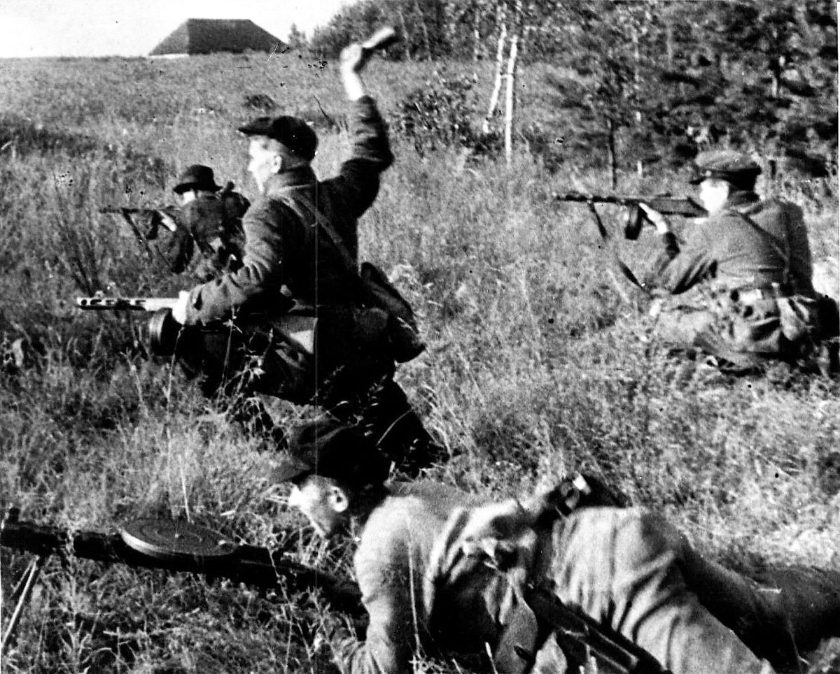 В бой шли партизаны проект