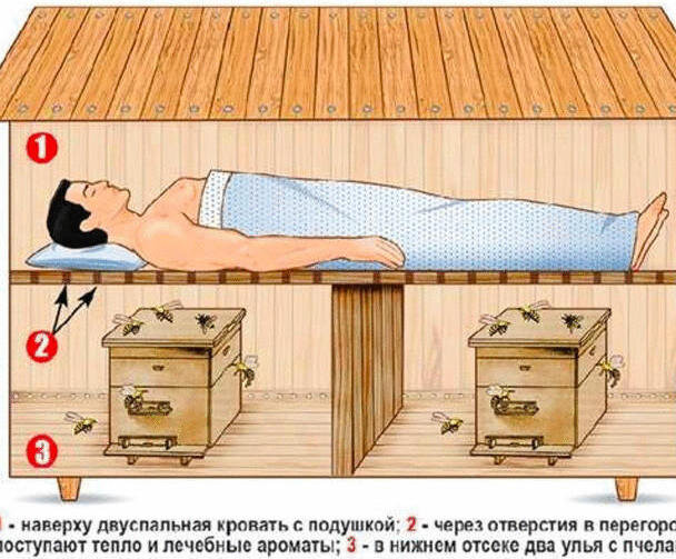 Фото с сайта cont.ws