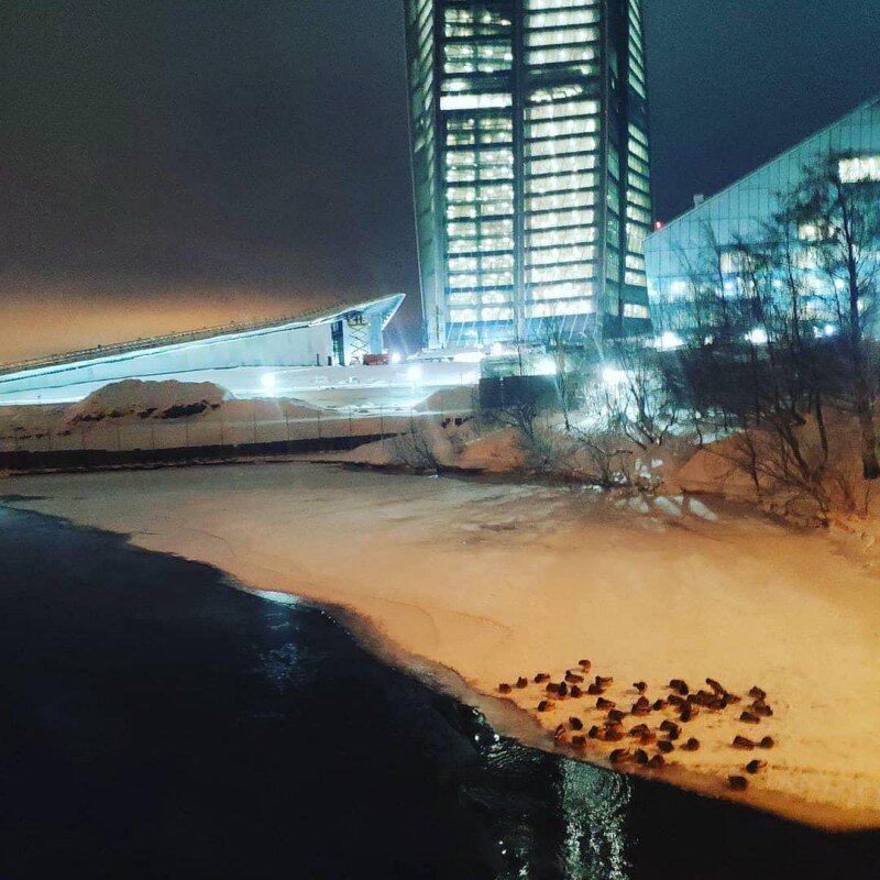 Фото by MariAshtaeva https://www.instagram.com/p/Bs8-jeWhJWC/
