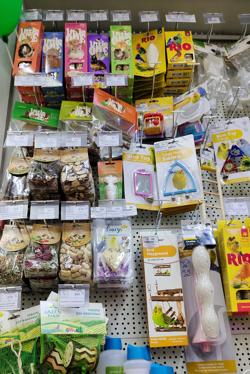 Фото автора.