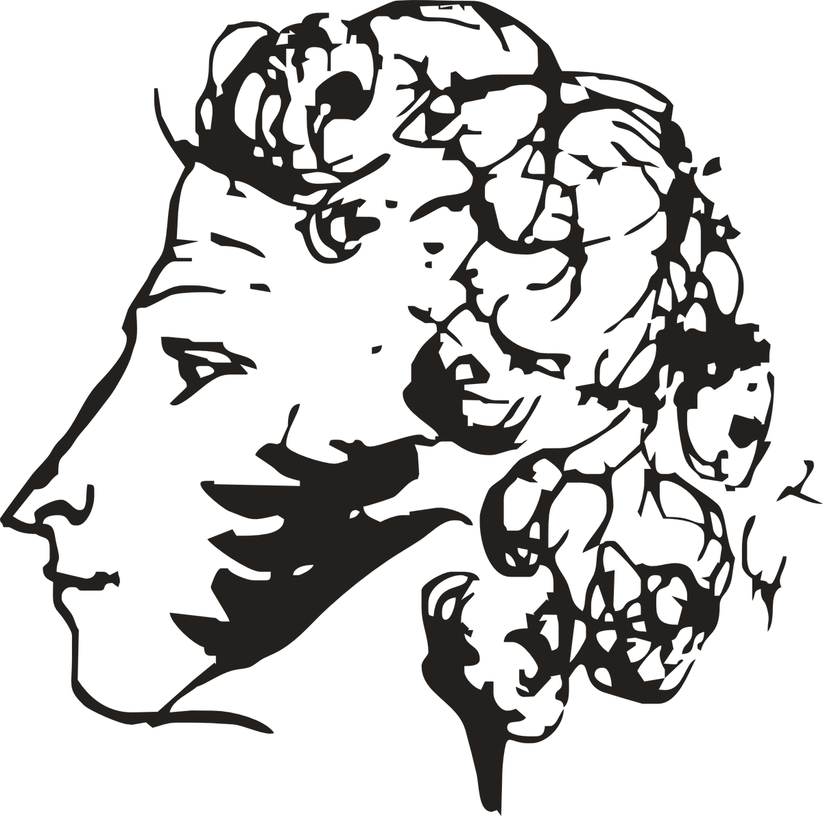 Эта и другие иллюстрации взяты с сайта https://ru.wikipedia.org